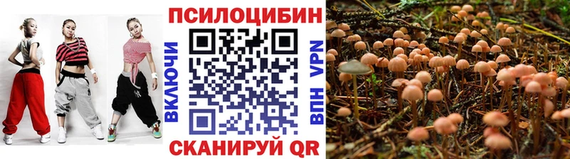 площадка состав  продажа наркотиков  Егорьевск  Галлюциногенные грибы Magic Shrooms 